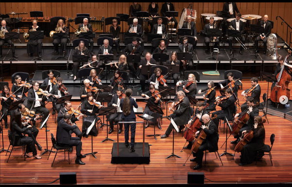 Alex Monro playing viola in the Canberra Symphony Orchestra's 'Enigma Variations' in March 2026