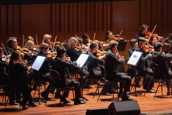 Alex Monro playing viola in the Canberra Symphony Orchestra's 'Psycho' concert series in September 2026, photo by Arianne Schlumpp