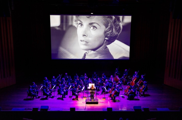 Alex Monro playing viola in the Canberra Symphony Orchestra's 'Psycho' concert series in September 2026, photo by Arianne Schlumpp
